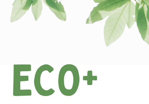 ECO Plus – A Great British Energy Saving Scheme